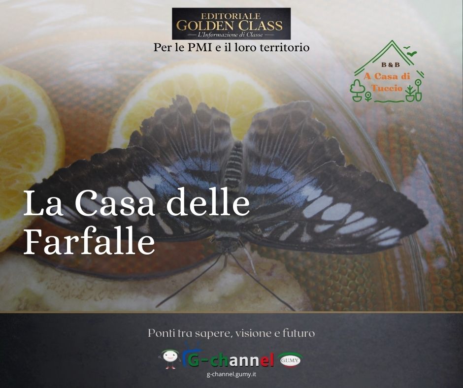 La Casa delle Farfalle Monteserra